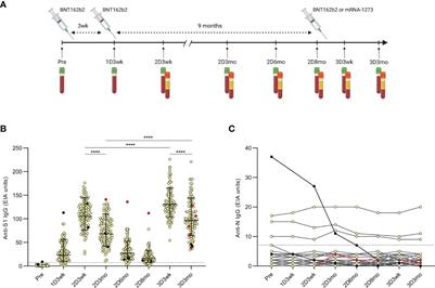 Persistent T cell-mediated immune responses against Omicron variants after the third COVID-19 mRNA vaccine dose